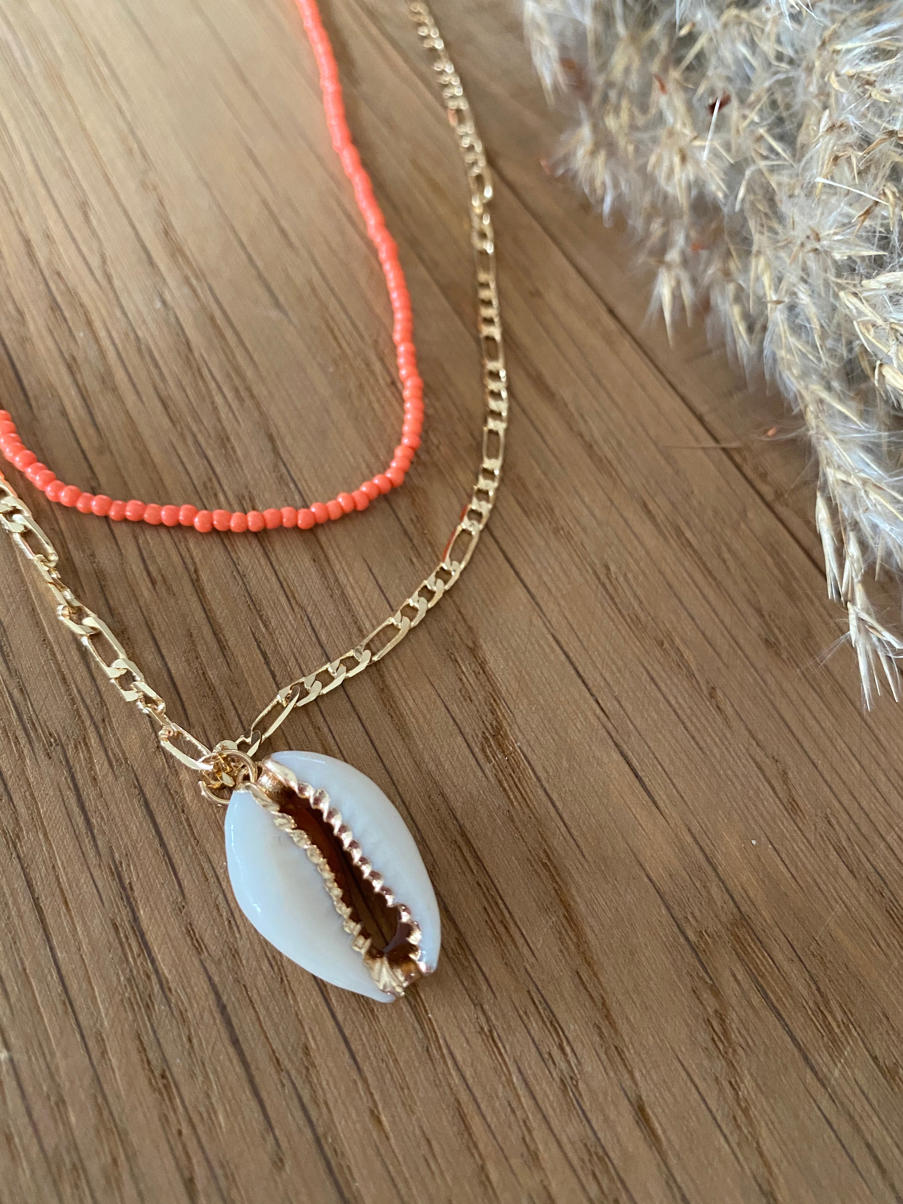 Laagjesketting schelp